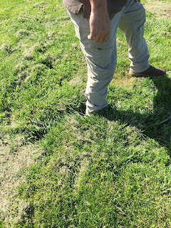 Burrow Blocker fills ground squirrel and prairie dog holes