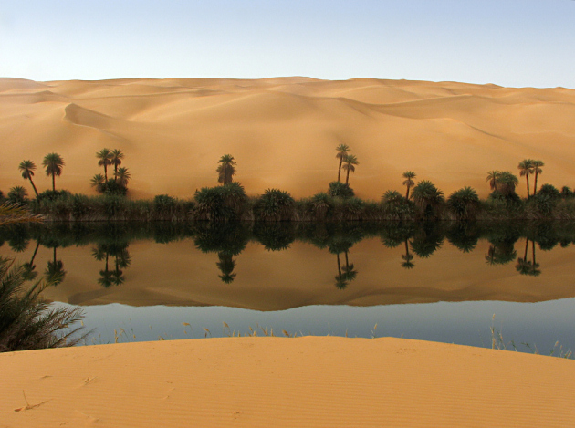 8 Oasis Cantik di Gurun Pasir(bambang-gene.blogspot.com)