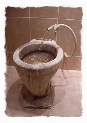 unusual toilets