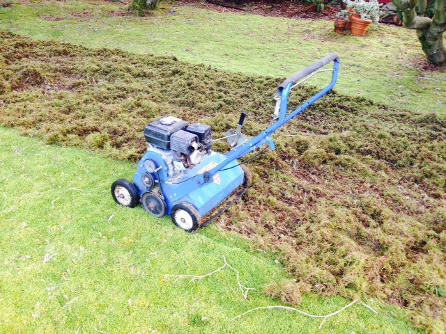 How Much Does It Cost To Dethatch Your Lawn Best Manual Lawn Aerator