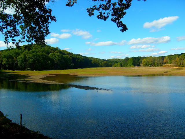 Yellowwood State Forest - Yellowwood Lake