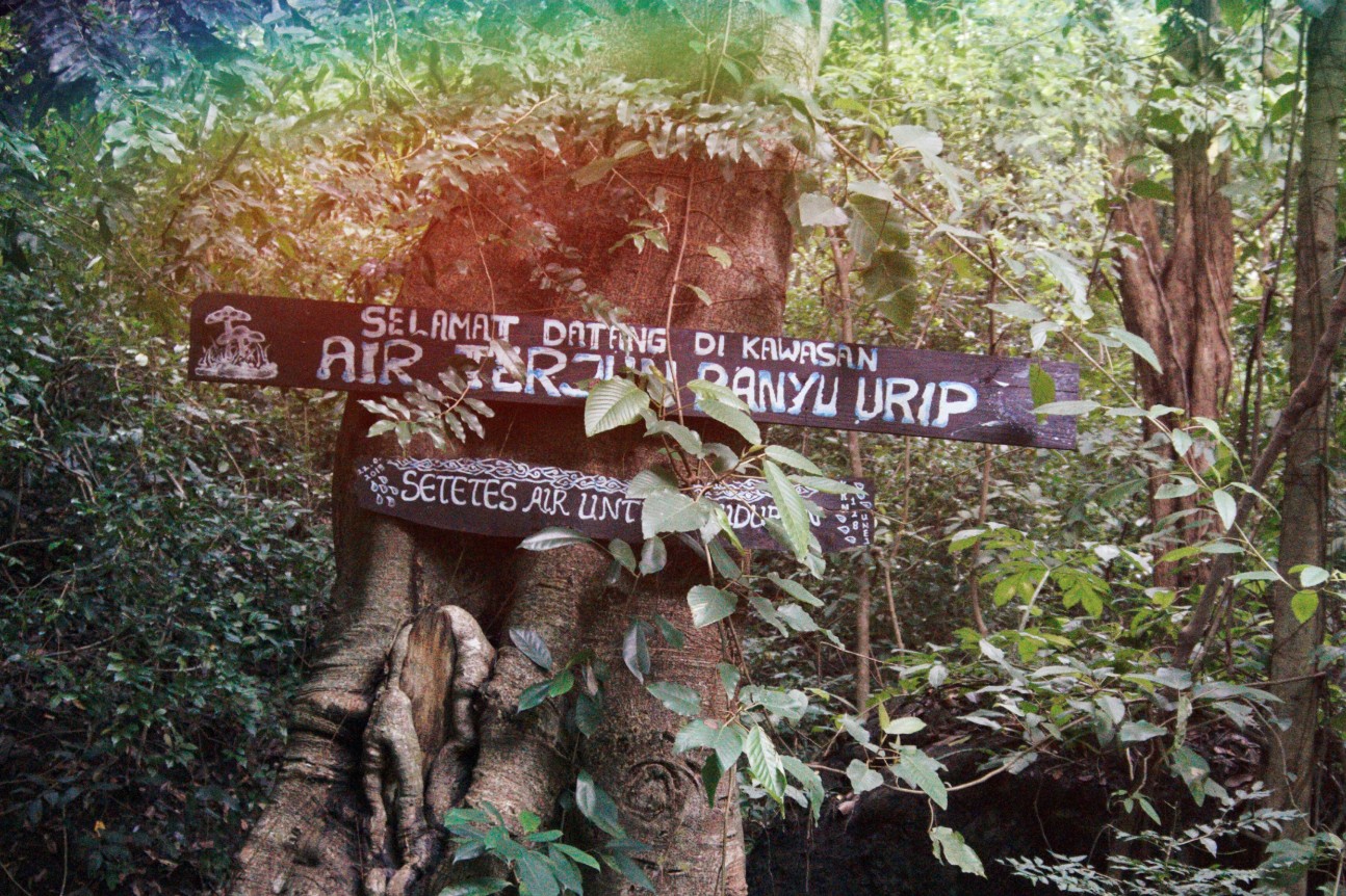 Air Terjun Banyu Urip Situbondo