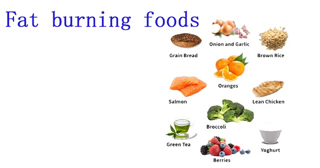 Fat Burning Foods to Add Your Daily Diet?