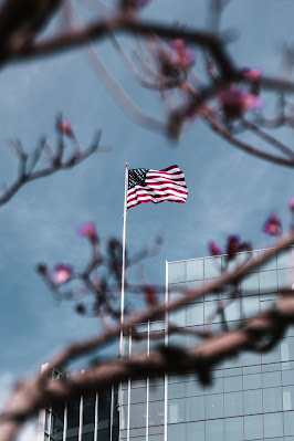 U.S. flag and spring blossoms