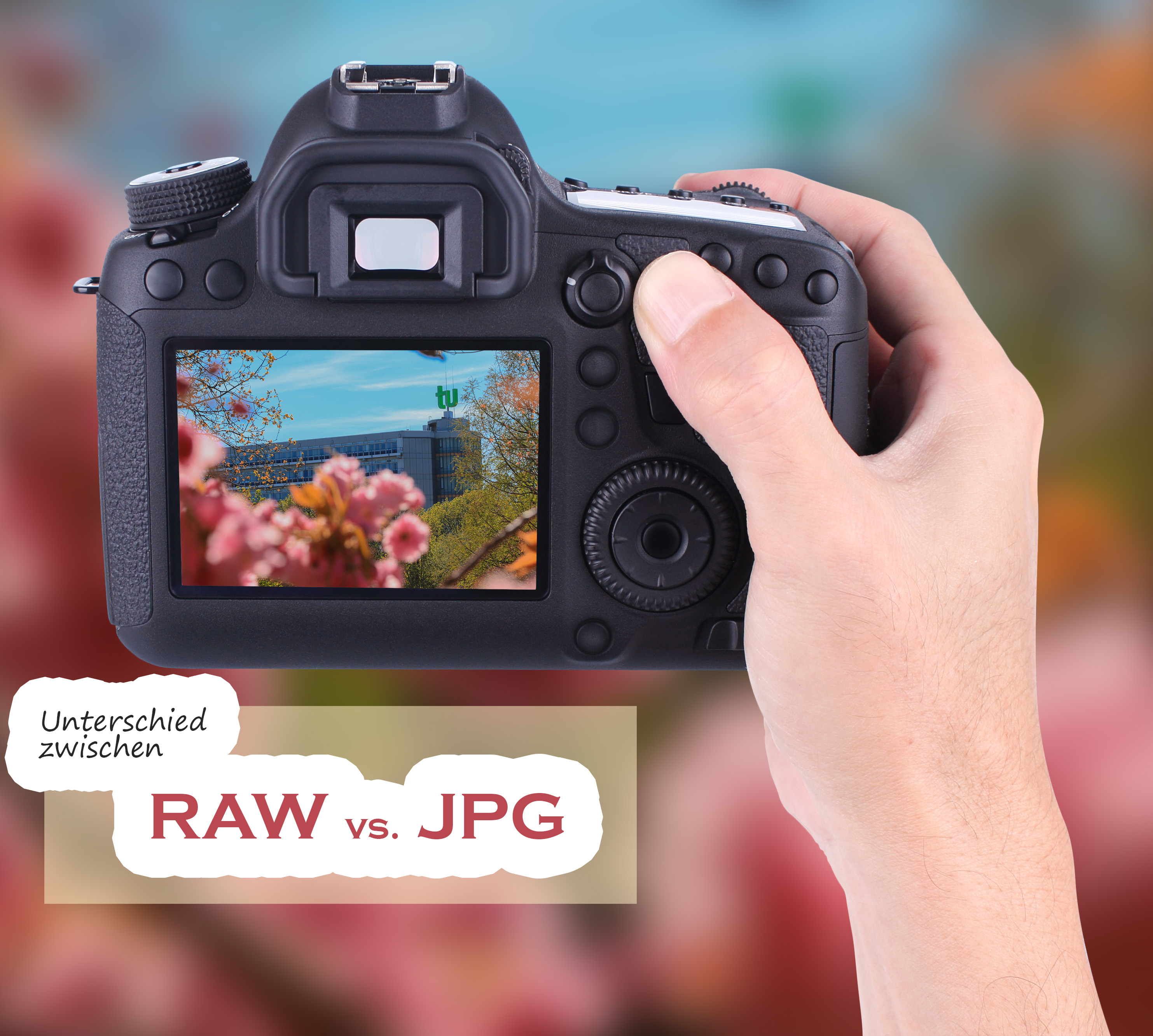 Der Unterschied zwischen RAW- und JPEG-Dateien in der Fotografie