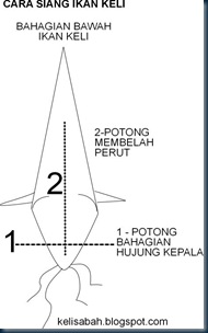 cara siang ikan keli