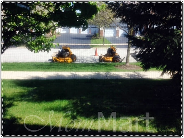 Lawn Mowing Machines