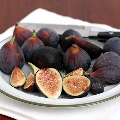 Fig