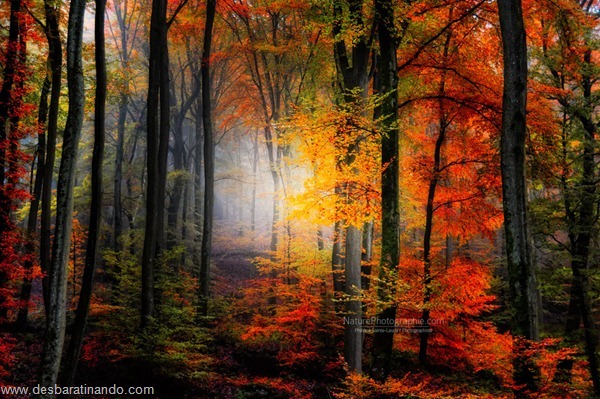 landscapes-paisagens-desbaratinando (42)