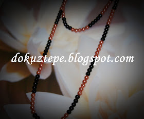 https://blogger.googleusercontent.com/img/b/R29vZ2xl/AVvXsEha0nu_xfVXdfMRyG6i3w-z6baP7fa3sbEeFWJVlXIxFMFl8PFlCXFGLfnRkqEJ5SQLiqF5JwIb9RXTpKLco672SgFZyDNNICI4YCW6YLchwCRsUsPNTr6R8mrTx3G1kdZeJlg4_uERuXM/s1600/SANY5018.JPG