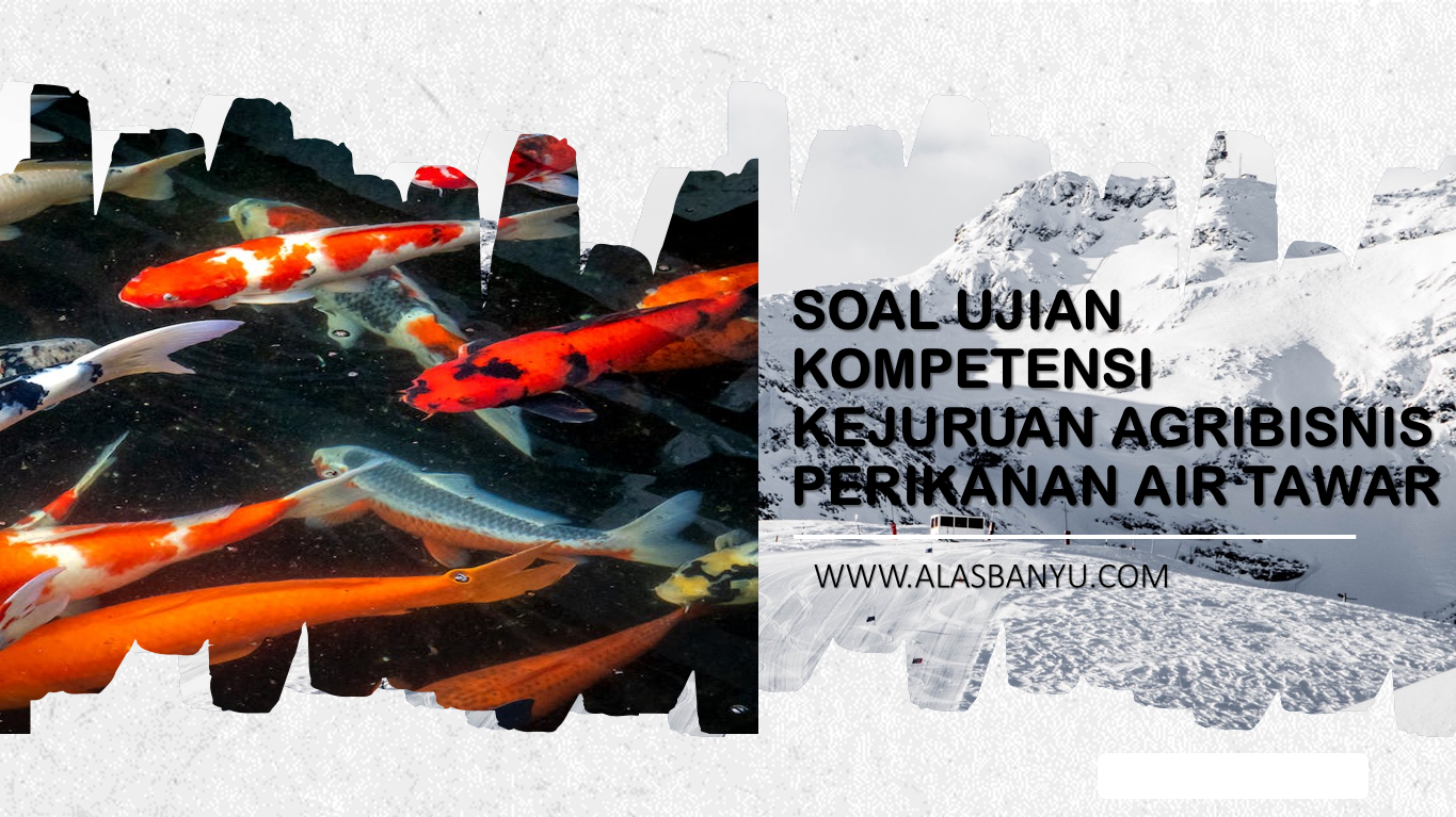 SOAL UKK AGRIBISNIS PERIKANAN AIR TAWAR