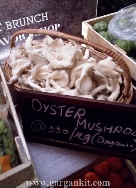 Oyster mushrooms available for sale