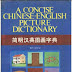 A Consise Chinese-English Picture Dictionary