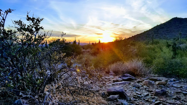 Hiking McDowell Sonoran Preserve