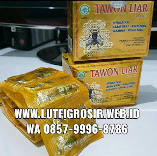 Distributor Kapsul Tawon Liar Kemasan Original