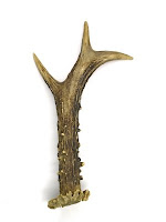 NAMC Montessori classroom zoology activity where the wild things are deer antler