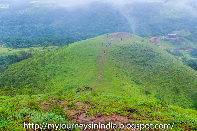 Sakleshpur Mekanagadde Betta