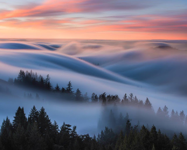 Olas de niebla en sorprendentes fotografías de larga exposición 