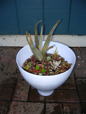 pot planter