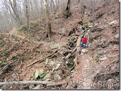 SueReno_TurkeyHillHike4