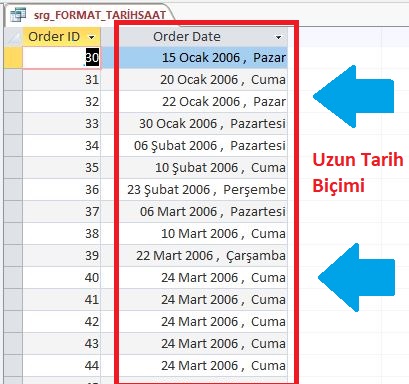 Format Fonksiyonu (Tarih ve Saat Alanları İçin)