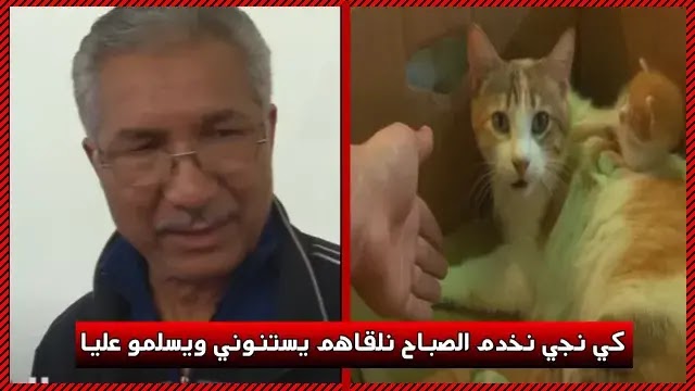 بالفيديو  مواطن تونسي يثير الإعجاب بتربيته لقطط الشارع كي نرى قطوس مطيش وجيعان يسخفني نهزو معايا