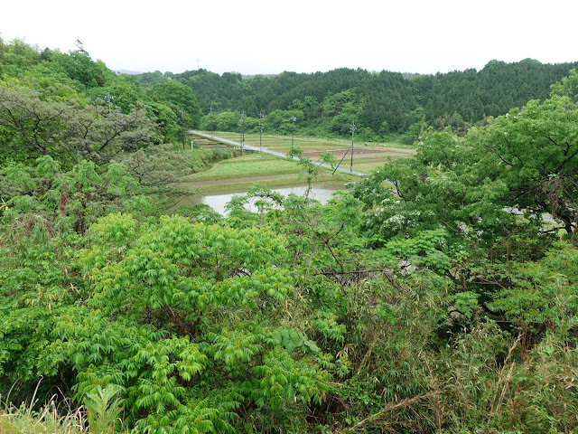 淀江どんぐり村から降ります