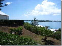 P1000349