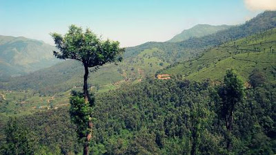 hill stations near Nagercoil