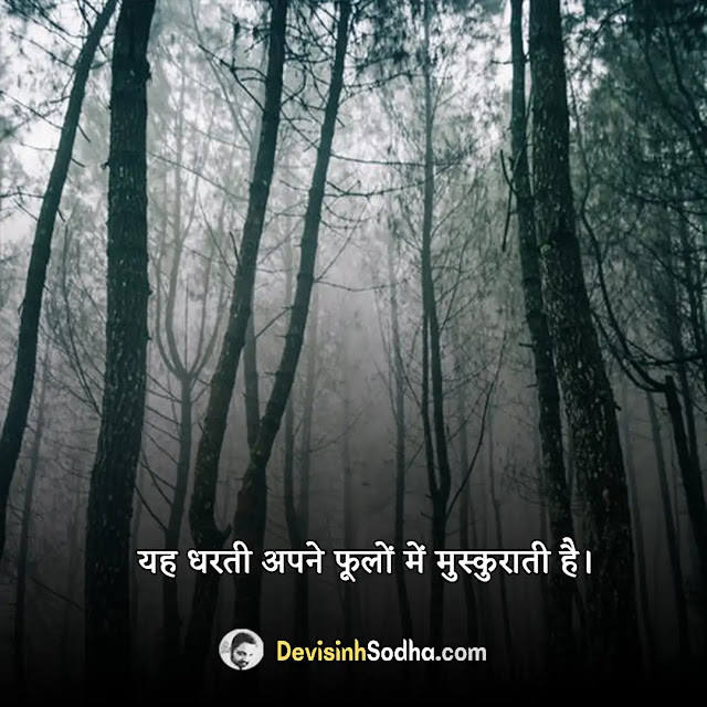 nature quotes in hindi, प्रकृति पर सुन्दर विचार, प्रकृति पर सुविचार हिंदी, प्रकृति पर शायरी, nature lover quotes in hindi, nature captions for instagram in hindi, best nature quotes in hindi, shayari for nature in hindi, nature lover quotes in hindi, beautiful nature quotes in hindi