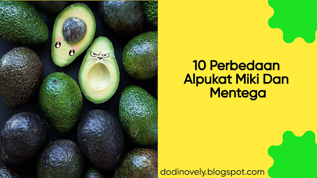 10 Perbedaan Alpukat Miki Dan Mentega