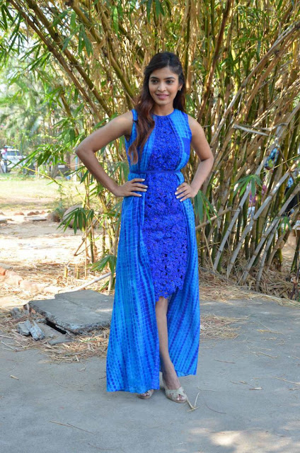 Tamil Actress Sanchita Shetty Latest Photos In Blue Dress