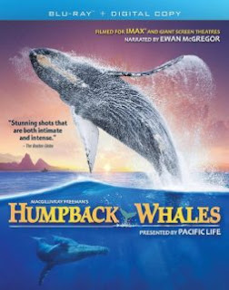 Download Film Humpback Whales (2015) BluRay 1080p Subtitle Indonesia
