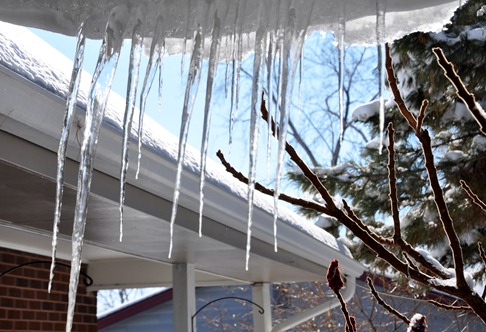 2012-02-05 icicles 3.jpg