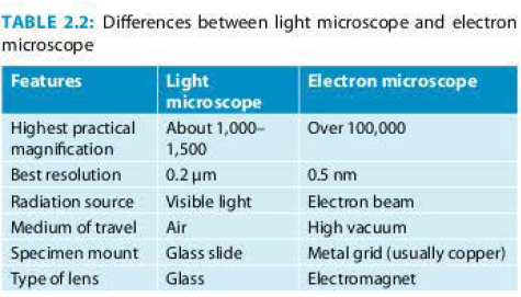 Difference between light microscope and electron microscope