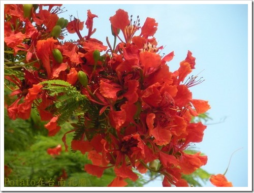 DSCN3570-