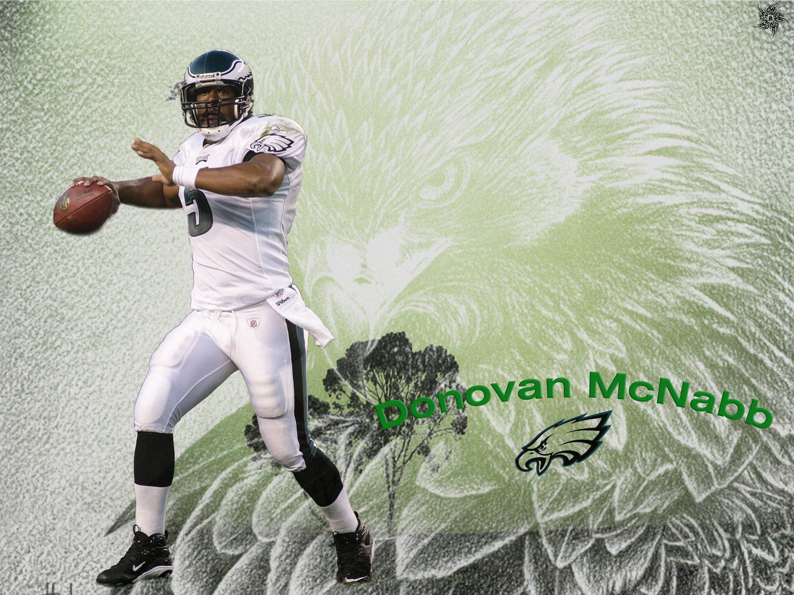 NFL Wallpapers: Donovan McNabb - Philadelphia Eagles