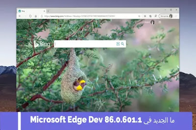 ما الجديد في Microsoft Edge Dev 86.0.601.1