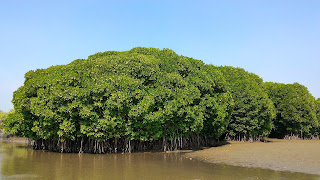 island tourism kadalundi