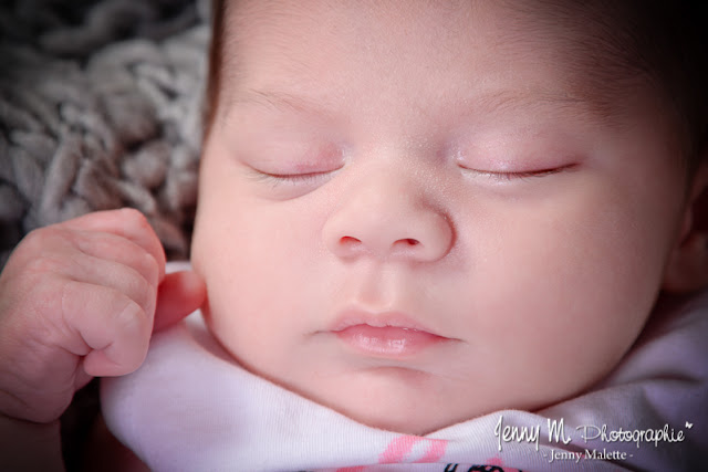 portrait bébé en studio séance photo naissance