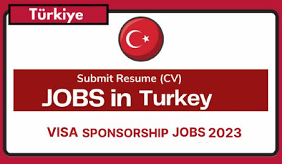 Visa Sponsorship Jobs In Turkey ForForeigners 2023/2024