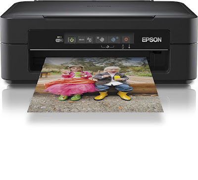 Druckertreiber Epson