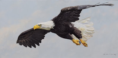 Original Painting of Bald Eagle