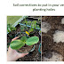  5 Put in your vegetable planting holes