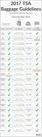 travel baggage guideline