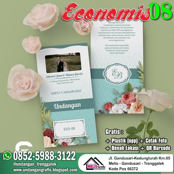 ECONOMIS 08