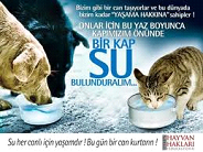 Bir Kap Su Bulunduralım