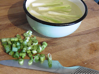 spring onion flowers in enamel bowl