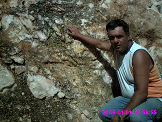 Bruno Marchant coleccionista de minerales