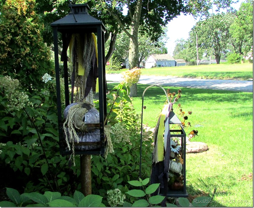 Showcasing the colors of a Fall Garden